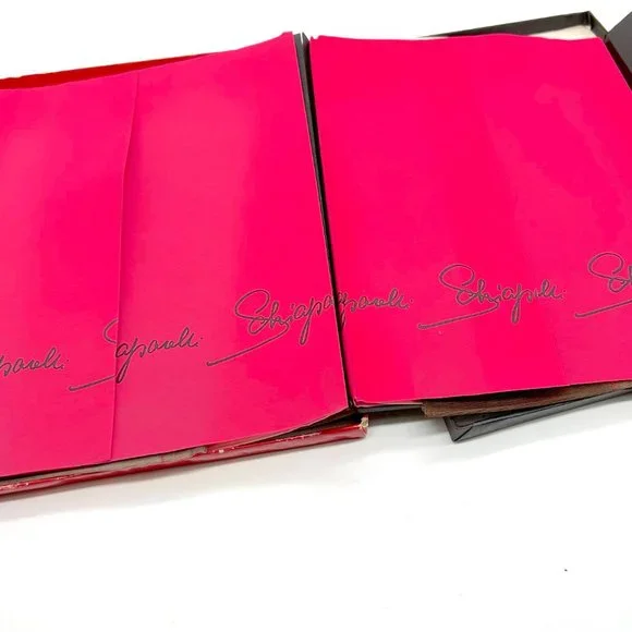 1950's Schiaparelli Stocking Duo - Unworn